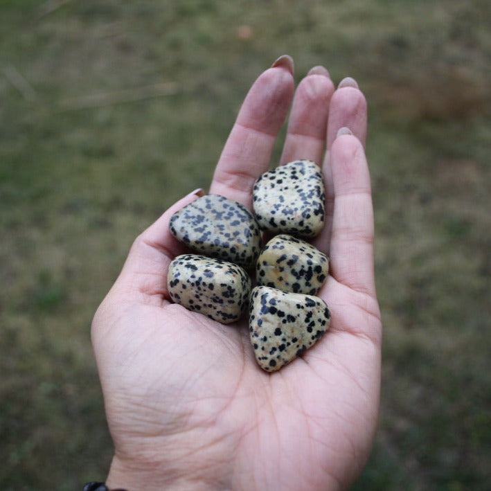 Dalmatian jaspis, hiottu