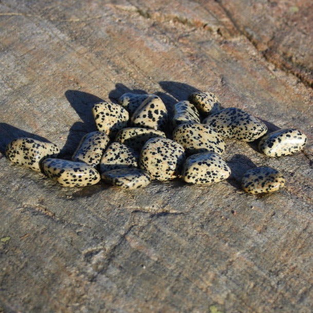 Dalmatian jaspis, hiottu